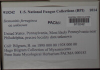 Image Associated With the Occurence